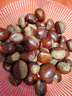【东东农场专供】25年丹东新板栗生板栗炒菜专用新鲜蔬菜生鲜 25年新下树 2斤 送栗爪 实拍图