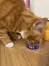 海洋之星猫零食猫罐头补水营养汤罐85g成猫幼猫肉罐 实拍图