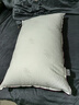 水星家纺枕头枕芯酒店枕头护颈枕头芯家用一对纯棉抗菌可水洗高枕48x74cm 实拍图