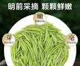 乐品乐茶特级毛尖茶叶绿茶2025明前春茶新茶礼盒装250g送礼袋自己喝 实拍图