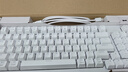 罗技（Logitech）灵砚系列 K868 三模客制化机械键盘 无线键盘 蓝牙键盘 客制化键盘 白色 实拍图