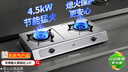 华帝国家补贴官方不锈钢台式燃气灶4.5kW猛火熄火保护煤气灶双灶台灶具以旧换新i10013T【天然气产品】 实拍图