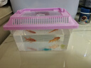 【已售10万】宠物盒透明塑料多尺寸鱼缸金鱼缸乌龟缸乌龟盒运输盒 鱼缸【18*11*11cm】 实拍图