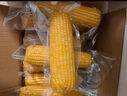 建三江黄金糯玉米3.8斤 240g*8根 黏玉米 东北玉米 早餐零食 实拍图