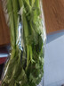 【24小时菜】大芹菜约400g 实拍图