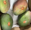 京地达海南新鲜树熟贵妃芒净重5斤装约15个左右甜心芒果水果源头直发 实拍图