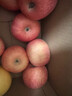 京鲜生 陕西洛川苹果红富士  净重5斤  单果200g+ 生鲜水果 实拍图