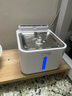 小甜橙猫咪饮水机无线不插电宠物饮水机流动水自动循环饮水器猫狗 实拍图