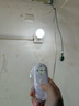 拉伯塔（LABOT）遥控灯泡e27螺口三色可调亮度全光谱led卧室床头夜灯台灯球泡 实拍图