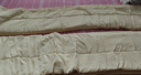 京东京造亲亲棉花被 100%新疆一级棉胎填充 A类春秋被子被芯 2.8斤1.5x2m 实拍图