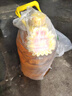 鲁花 食用油 物理压榨 葵花仁油6.18L  实拍图