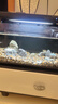 米家（MIJIA）小米米家智能生态鱼缸还原自然生态补仓一次三月无忧出差旅行必备 实拍图