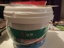 立邦补墙漆腻子膏抗菌防霉补墙面修补膏墙皮脱落修补膏白色2.5kg 实拍图