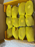 佳沛（zespri）新西兰 阳光金奇异果12粒礼盒特大果单果约122-146g 猕猴桃 实拍图