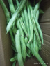 云南高山新鲜四季豆圆青豆农家蔬菜新鲜现摘蔬菜生鲜 带箱2斤 实拍图
