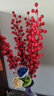 花点馨意冬青发财果仿真花装饰摆件红果新年宵花卉假花餐桌插花6叉2支5189 实拍图