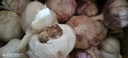 【营田半亩】蒜干蒜头蒜大蒜紫白皮大蒜当季蔬菜0.5-5斤 3斤带箱重【果径5-6cm】特大果 实拍图