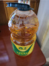 西王 食用油 玉米胚芽油 5L 非转基因物理压榨（新老包装交替发货） 实拍图