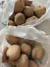 京鲜生 甘肃定西土豆 5斤 单果200g+ 沙面黄心土豆马铃薯洋芋 源头直发 实拍图