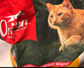 Orijen渴望猫粮 成猫幼猫粮 六种鱼肉无谷全价通用进口5.4kg效期26/12 实拍图