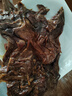 章鸭子酱板鸭338g 湖南常德特产正宗酱板鸭香辣鸭肉零食小吃 实拍图