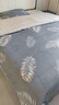 百丽丝水星家纺出品床上四件套纯棉100%全棉四件套被套床单双人床品套件1.8m床 实拍图