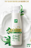伊利金典3.8g乳蛋白 鲜活纯牛奶250ml*8瓶 30天常温短保 京东专供 实拍图