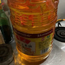 鲁花 食用油  物理压榨  非转基因 玉米油6.18L   实拍图