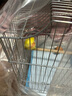 贝尼宠鸟笼  鹦鹉鸟笼子 可折叠 虎皮鸽子笼鸟笼子 八哥画眉鸟别墅大号 电镀银鸟笼*高56*长33*31含8件套 实拍图