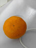 正宗无籽蜜橘酸甜可口新鲜薄皮蜜桔当季早熟水果 带箱2斤装 实拍图