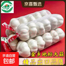 山东金乡蒜大蒜出口标准精选大蒜头蔬菜调料单果5cm 出口标准网兜装箱 1800g 5-5.5cm特大 实拍图