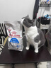 皇家室内成猫粮 I27 通用粮 12月以上 2KG 实拍图