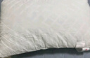 洁丽雅（Grace）纯棉A类枕头枕芯单人成人高弹柔软蓬松枕头芯 实拍图