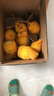 甜醉了 烟台苹果黄元帅粉面苹果黄金帅黄香蕉山东特产新鲜水果整箱生鲜 净8.5斤75-80mm 实拍图