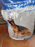 心粮 德牧专用狗粮狗干粮马犬恶霸杜宾成犬幼犬全期通用20kg/40斤 实拍图