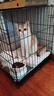 憨憨宠猫笼折叠猫笼子大号猫别墅加粗加密双层猫舍猫窝宠物猫咪用品家用 黑色 600双层 实拍图