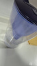碧然德（BRITA）家用净水壶 滤水壶滤芯 MAXTRA+LE 去水垢专家滤芯 6枚装 实拍图