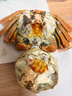 【活蟹】阳澄联合鲜活大闸蟹公4.5-4.8两母3.5-3.8两 4对8只螃蟹年货礼盒源头直发 实拍图