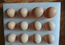 德青源A级鲜鸡蛋32枚2.74斤起无抗生素 谷物喂养  营养早餐家庭礼盒 实拍图