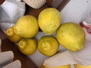 趣觅鲜正宗容县沙田柚产地直发广西特产纯甜无酸老树白肉柚子新鲜水果 8斤净重大果3-4个普通装 实拍图