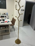 新房子意式轻奢衣帽架落地卧室床边个性放衣服收纳架子简易家用挂衣架 橄榄树款：纳米金（实心底座） 实拍图