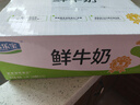 君乐宝（JUNLEBAO）鲜牛奶 200ml*12袋 生牛乳纯牛奶儿童营养早餐低温牛奶 实拍图