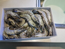 鲜京采 2025福建活冻黑虎虾 净重3斤 2030规格 30-45只/盒 特大号 实拍图