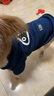 派乐特狗狗猫衣服保暖比熊泰迪博美小型犬条纹宠物秋冬天季装xxl号 实拍图