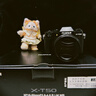 富士（FUJIFILM）XT50 X-T50套机 XM5 微单数码相机 直播视频Vlog4K 学生照相机 富士X-T50 黑+16-50【一镜全能】 官方标配 实拍图