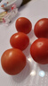 京鲜生 山东海阳普罗旺斯净重4.5斤单果150g起新鲜沙瓤西红柿源头直发 实拍图