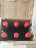 红星二锅头 蓝瓶绵柔8陈酿 清香型白酒 53度 500ml*6瓶  非原箱口粮酒 实拍图