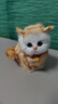 亦趣仿真猫玩偶会叫小猫咪毛绒玩具摆件可爱猫咪公仔儿童生日新年礼物 橘色会叫猫咪+铃铛 实拍图
