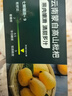 云南蒙自高山枇杷300g（单果25g起） 实拍图