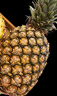 京鲜生  海南金钻凤梨 4粒装 单果2斤起 生鲜水果 实拍图